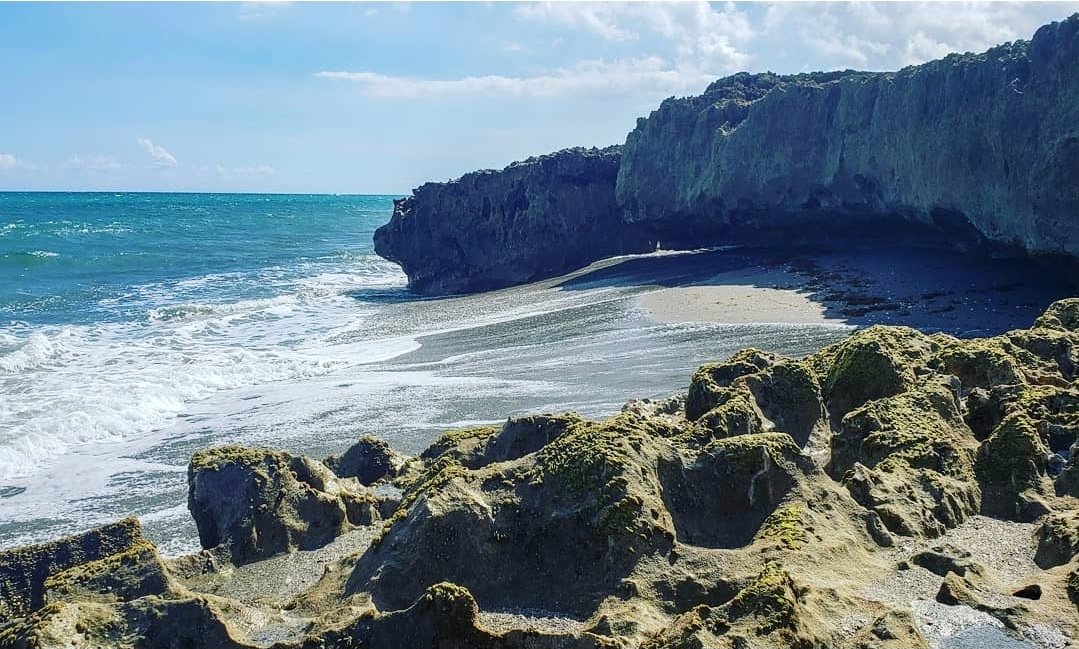 Florida Hidden Gems: A Guide to Blowing Rocks Preserve