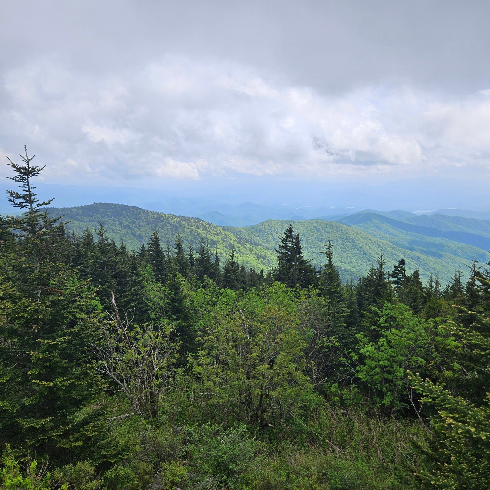 Great Smoky Mountains National Park with Kids: A Family-Friendly Travel Guide