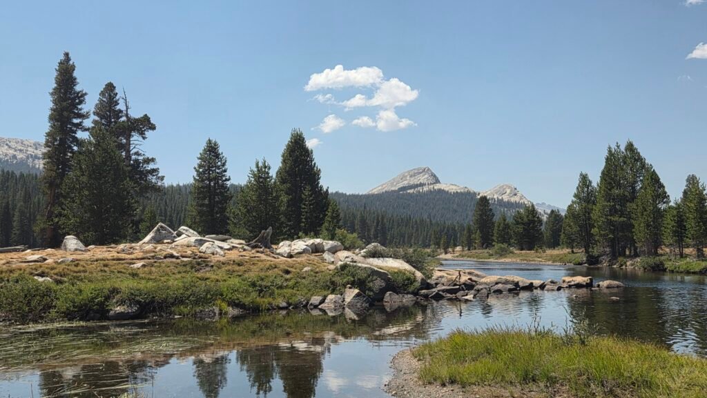 Yosemite National Park with kids